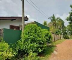 Single Story House For Sale In Polgusowita
