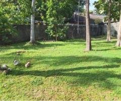 Land for sale in Colombo 5