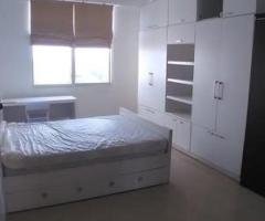 Fully Furnished Luxury Apartment for Rent In Colombo 8