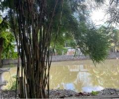 Land For Sale In Colombo 5