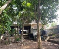 Land For Sale In Colombo 5