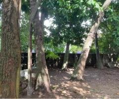 Land For Sale In Colombo 5