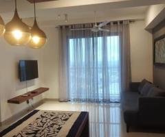 Modern furnished apartment for rent in Colombo 8