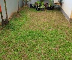 Solid 2storied house for sale in Attidiya