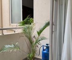 Furnished apartment for rent in Mount Lavinia