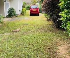 Single story house available for sale in Kandy, watapuluwa