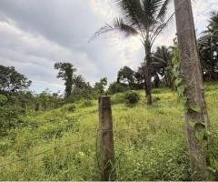 Land for Sale in Godagama