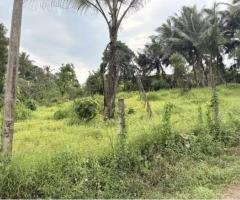 Land for Sale in Godagama