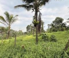 Land for Sale in Godagama