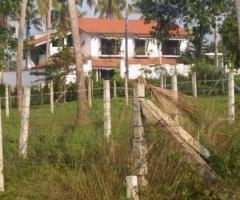 Prime Guest House for Sale – Near Katunayake Airport ✈️