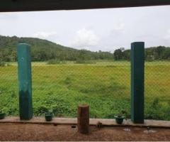 House for sale in Ranala ( Colombo district)