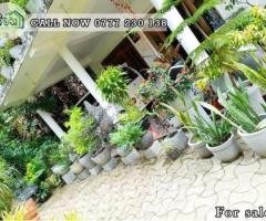 A House is for sale in Danthure , Pilimathalawa. (31P)