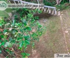 A valuable Land is for sale in Aruppola ,Kandy.