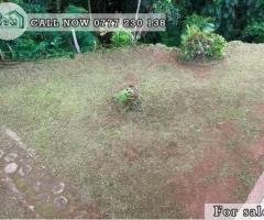 A valuable Land is for sale in Aruppola ,Kandy.