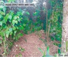 A Land is for Sale in  Katugasthota. (16.70P)