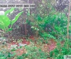 A Land is for Sale in  Katugasthota. (16.70P)