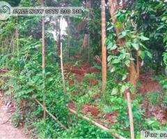 A Land is for Sale in  Katugasthota. (16.70P)