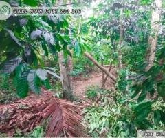 A Land is for Sale in  Katugasthota. (16.70P)