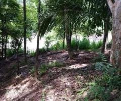 A House with a Land which facing Gampola Road peradeniya, Kandy