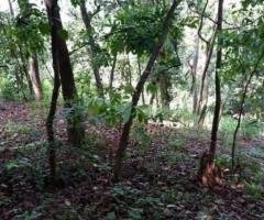 A House with a Land which facing Gampola Road peradeniya, Kandy