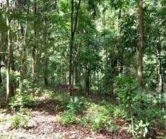 A House with a Land which facing Gampola Road peradeniya, Kandy